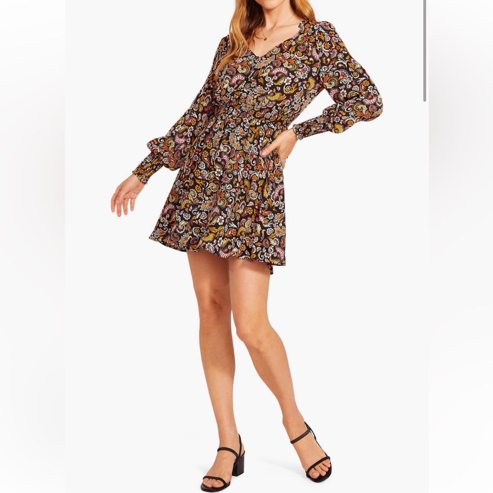 BB Dakota Paisley Dress